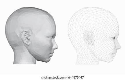 Vector illustration of 3d polygonal girl head, two kinds. Mesh coverage. EPS 8.
