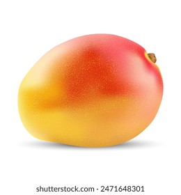 Ilustración vectorial de mango de fruta realista 3d aislado sobre fondo blanco con sombra.