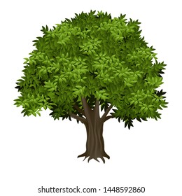 Vector illustration 3D tree realistic image isolated trunk with thick wrinkled bark and green leaves oak, elm or poplar