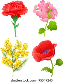 Vector illustration with 4 flowers: carnation, violet, mimosa, poppy