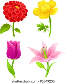 Vector illustration with 4 flowers: dahlia, buttercup, tulip, lily