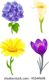 Vector illustration with 4 flowers: hydrangea, calla, calendula, crocus