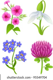 Vector illustration with 4 flowers: phlox, snowdrop, forget-me-not, clover