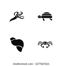 Vector Illustration Of 4 Icons. Editable Pack Squid, Seashell, Turtle, undefined.