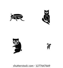 Vector Illustration Of 4 Icons. Editable Pack Beetle, Sloth, Owl, undefined.