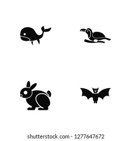 Vector Illustration Of 4 Icons. Editable Pack Whale, Rabbit, Toucan, undefined.