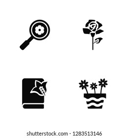 Vector Illustration Of 4 Icons. Editable Pack Magnifying glass, Book, Rose, undefined.