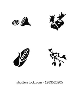 Vector Illustration Of 4 Icons. Editable Pack Onion, Corn, Radish, undefined.