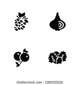 Vector Illustration Of 4 Icons. Editable Pack Raspberry, berries, Onion, undefined.