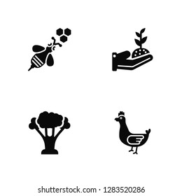 Vector Illustration Of 4 Icons. Editable Pack Bee, Broccoli, Sprout, undefined.