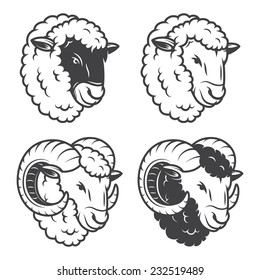 Vector illustration of 4 sheeps and rams heads. Monochrome, isolated on white background.