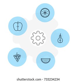 Vector Illustration Of 5 Berry Icons. Editable Pack Of Jonagold, Vineyard, Duchess And Other Elements.