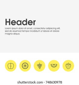 Vector Illustration Of 5 Fruits Icons. Editable Pack Of Lime, Orange, Berry And Other Elements.