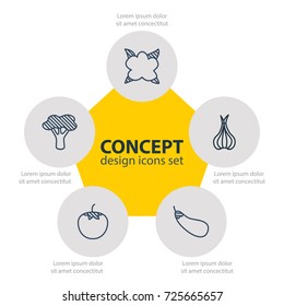 Vector Illustration Of 5 Vegetables Icons. Editable Pack Of Cauliflower, Aubergine, Turnip And Other Elements.