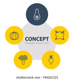 Vector Illustration Of 5 Vegetables Icons. Editable Pack Of Cauliflower, Gourd, Papaya And Other Elements.
