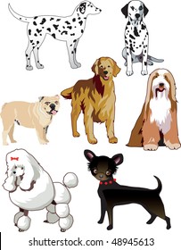 Vector Illustration of 7 dogs or puppies isolated.