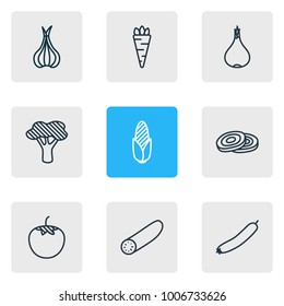 Vector illustration of 9 food icons line style. Editable set of garlic, turnip, root vegetable and other icon elements.