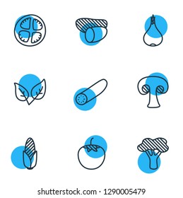 Vector illustration of 9 food icons line style. Editable set of tomato, broccoli, vegetable and other icon elements.