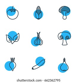 Vector Illustration Of 9 Food Icons. Editable Pack Of Beet, Fungi, Turnip And Other Elements.