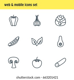 Vector Illustration Of 9 Food Icons. Editable Pack Of Papaya, Legume, Peppermint And Other Elements.