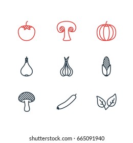 Vector Illustration Of 9 Food Icons. Editable Pack Of Fungi, Turnip, Sativum And Other Elements.