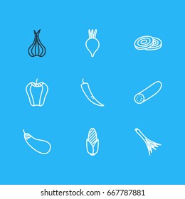 Vector Illustration Of 9 Food Icons. Editable Pack Of Green Onion, Aubergine, Cucumber And Other Elements.