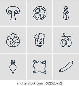 Vector Illustration Of 9 Food Icons. Editable Pack Of Beet, Tomato Slice, Mediterranean And Other Elements.
