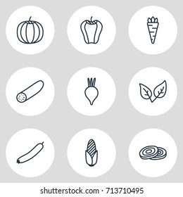 Vector Illustration Of 9 Food Icons. Editable Pack Of Circles, Zucchini, Sweet Pepper And Other Elements.