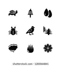 Vector Illustration Of 9 Icons. Editable Pack Turtle, Pine tree, Cloud, Forest, Bird, Flower, Aloe vera, Crab, Water drop