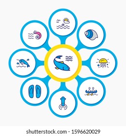 Vector illustration of 9 nautical icons colored line. Editable set of flip flops, prawn, squid and other icon elements.