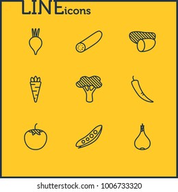 Vector illustration of 9 vegetables icons line style. Editable set of zucchini, radish, broccoli and other icon elements.