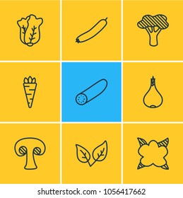 Vector illustration of 9 vegetables icons line style. Editable set of carrot, cole, spearmint and other icon elements.