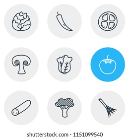 Vector illustration of 9 vegetables icons line style. Editable set of mushroom, broccoli, cabbage and other icon elements.