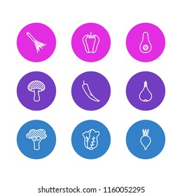 Vector illustration of 9 vegetables icons line style. Editable set of broccoli, salad, scallion and other icon elements.