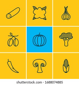 Ilustración vectorial de 9 iconos de verduras estilo de línea. Conjunto editable de aceitunas, zucchini, alium y otros elementos de icono.