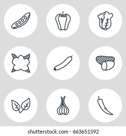 Vector Illustration Of 9 Vegetables Icons. Editable Pack Of Peppermint, Chinese Cabbage, Cauliflower And Other Elements.