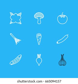 Vector Illustration Of 9 Vegetables Icons. Editable Pack Of Cauliflower, Legume, Mushroom And Other Elements.