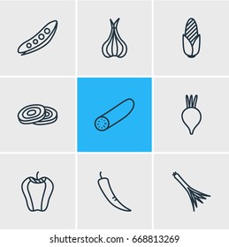 Vector Illustration Of 9 Vegetables Icons. Editable Pack Of Paprika, Sativum, Circles And Other Elements.