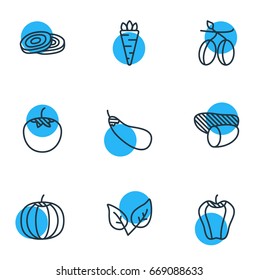 Vector Illustration Of 9 Vegetables Icons. Editable Pack Of Circles, Gourd, Mediterranean And Other Elements.