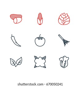 Vector Illustration Of 9 Vegetables Icons. Editable Pack Of Maize, Cole, Green Onion And Other Elements.