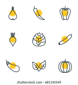 Vector Illustration Of 9 Vegetables Icons. Editable Pack Of Aubergine, Beet, Peppermint And Other Elements.