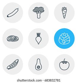 Vector Illustration Of 9 Vegetables Icons. Editable Pack Of Cole, Turnip, Zucchini And Other Elements.