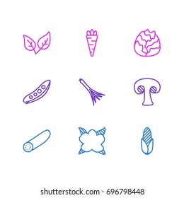 Vector Illustration Of 9 Vegetables Icons. Editable Pack Of Maize, Root Vegetable, Peppermint And Other Elements.