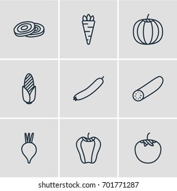 Vector Illustration Of 9 Vegetables Icons. Editable Pack Of Cucumber, Zucchini, Sweet Pepper And Other Elements.