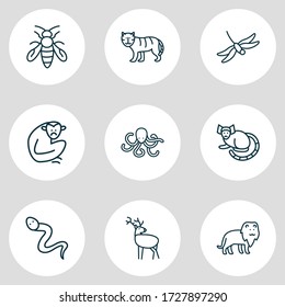 Vector illustration of 9 zoo icons line style. Editable set of octopus, dragonfly, gibbon and other icon elements.