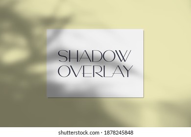 Vector illustration of a4 paper mockup with realistic tropical shadow overlay effect. Blurred transparent soft light shadow from tree leaves with paper sheet for product presentation