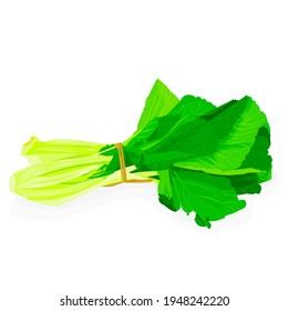 ilustración vectorial sobre el verde mostaza, como una de verduras que se toma de la hoja de planta.