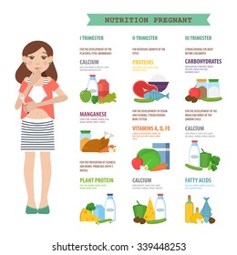 Vector illustration about the nutrition of women in the different stages of pregnancy. The power scheme trimesters. Infographic with simple data and ration. Easy editable.