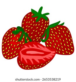 Ilustración vectorial sobre las fresas, como una especie de fruta.