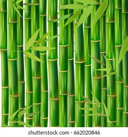 Vector Illustration of an Abstract Background with Bamboo